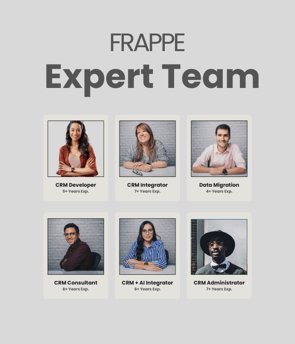 Frappe Developers & Consultant for Customization